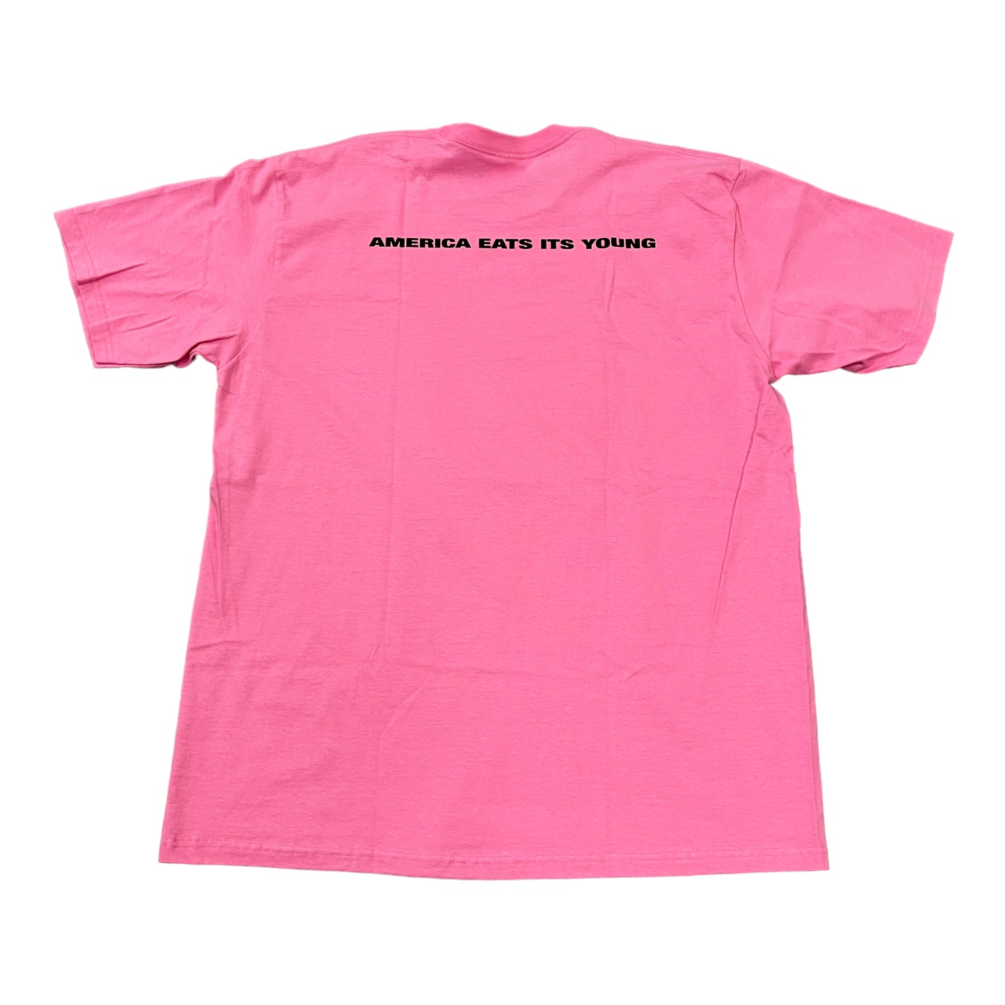 Supreme America Eats Its Young Pink Tee